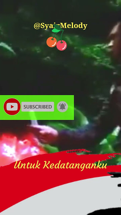 MENUNGGU - Rhoma Irama #rhomairama #storywa #dangdut
