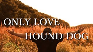 Video thumbnail of "【ONLY LOVE】 HOUND DOG"