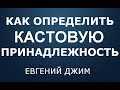 4 Касты людей / Простой способ определить свою Касту / Евгений Джим