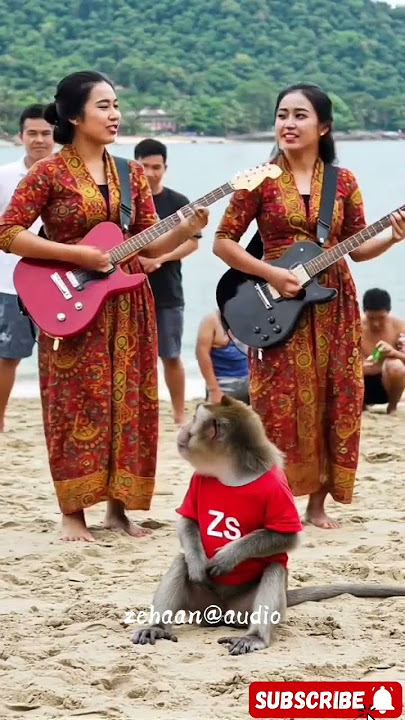 viral cewek cantik main gitar ada monyet nya #shorts #zehaanaudio