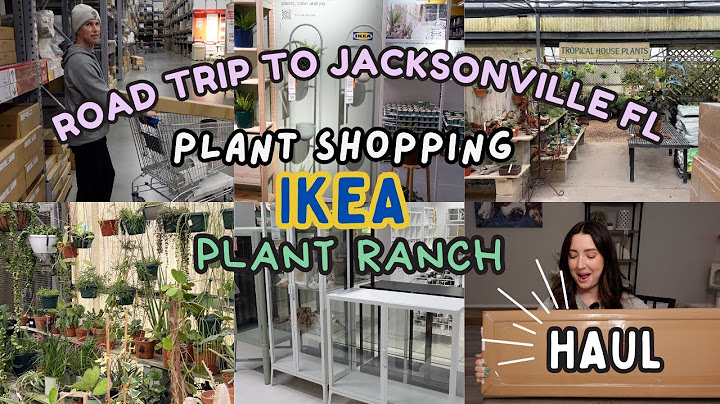 Zakupy roślin w IKEA i Plant Ranch oraz ogromne zakupy! | Vlog urodzinowy z Jacksonville na Florydzie 🪴🎈