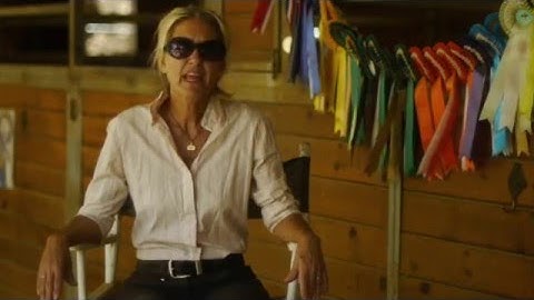 THE SUMMERWOOD SERIES - The Bitless Journey Begins!