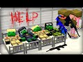 ☣️Мы нашли подземную лабораторию [ЧАСТЬ 55] Зомби апокалипсис в майнкрафт - (Minecraft Сериал) ШЕДИ
