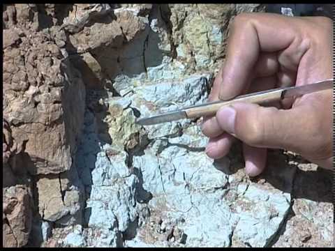 Video: Paleontologi So Opisali Starodavno 