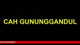 PENTAS WAYANG KULIT BERSIH DESA KETOS ASRI KABUPATEN KLATEN BERSAMA DALANG KI MPP. BAYU AJI    (REC)