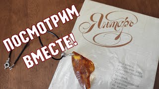 Посмотрим вместе! Книга 