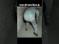 Gayab hone wala kila#😱#trendingshorts #trending #video #music