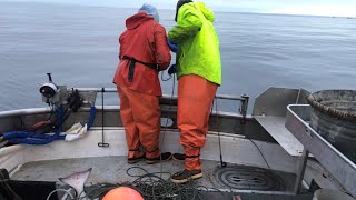 We're in Reel Trouble; on the Grounds Repair  Fall Halibut Fishing