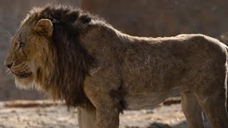 The Lion King(2019)فلم