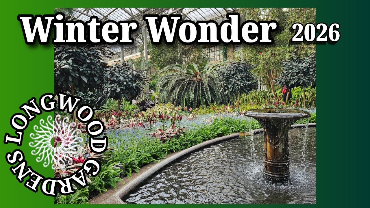 Winter Wonder 2026 | Longwood Gardens 4K