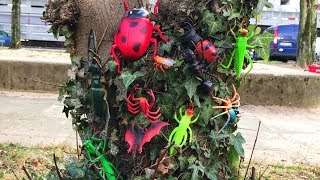 Insect Toys For Kids Learn Insect & Bugs Education Video - Pretend Look for Insect Toys on the Tree
