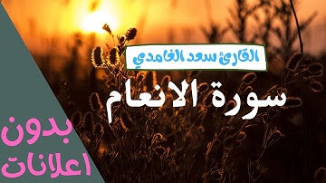 سعد الغامدي سورة الانعام