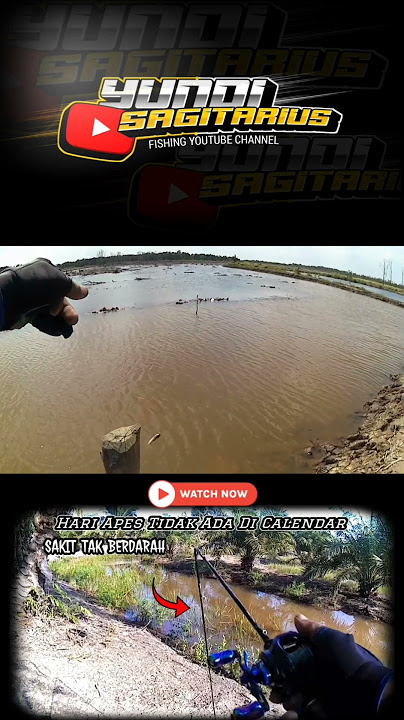 OMG Hello damn fish 🤣 #fishing