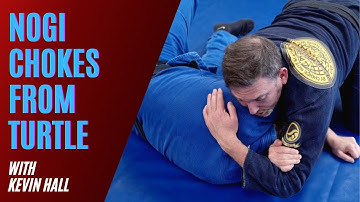 BJJ NoGi Chokes from Turtle you need to know