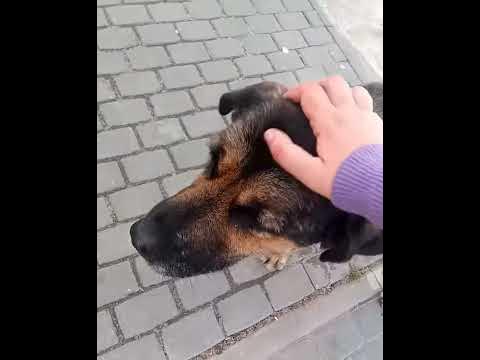 Большой добряк! - YouTube
