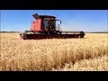 Результаты опытов с нормами высева пшеницы у Вадима Дробитько