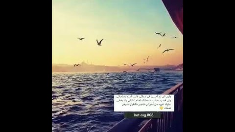 هزاع البلوشي/حالات واتساب قران/حالة واتس قران كريم/مقاطع قصيره قران/استوري انستا/حالات واتس