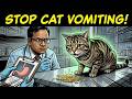 Is Your Cat Sick? 9 Remedies for Frequent Vomiting