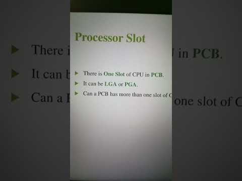 Ladies Choice Slots at Agua Caliente