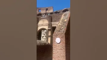 2025 Rome Colosseum Travel 