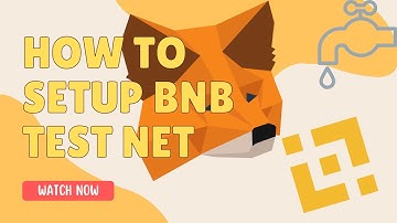 How to setup BNB test net on Metamask