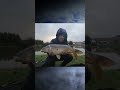 Giant Mirror Carp Caught in Ireland's Hidden Gem Lakes