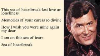 Video voorbeeld van "Don Gibson - Sea Of Heartbreak with Lyrics"