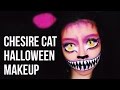 Chesire cat makeup  marcella febrianne