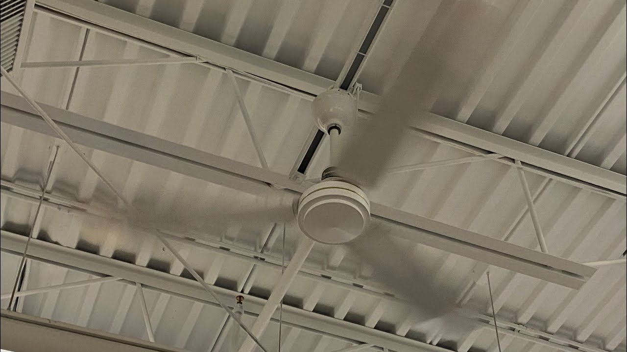 Banvil Bronze & gold line and Canarm CP56 industrial ceiling fans YouTube