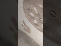 Diya bati simple pop#beautiful #video #south
