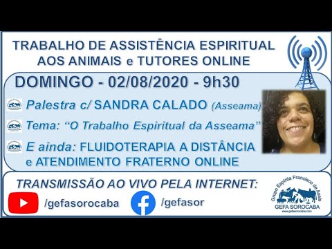 Assista: Trabalho de Assistência Espiritual aos Animais ONLINE - c/ SANDRA CALADO (02/08/2020)