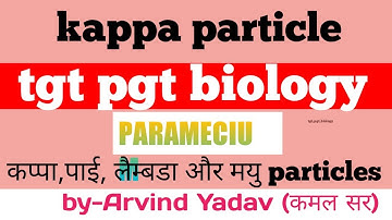 cytoplasmic inheritance of kappa particles in paramecium|kappa particles in paramecium|kappaparticle