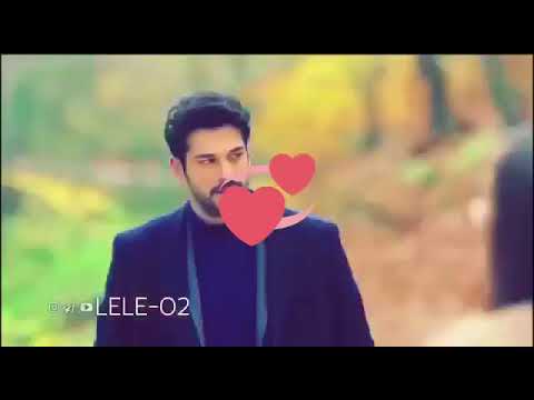 حبك نقش بالروح نور الزين