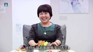 小动物竟能治疗抑郁症慧灯问道第七季