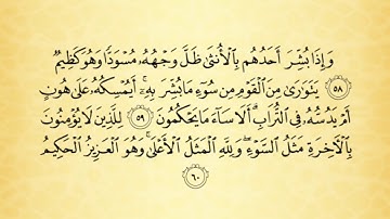 تلاوة سورة النحل من الآية رقم 55 إلى 64