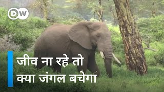 जंगल से जीव या जीवों से जंगल [Lost animals stunting plants’ ability to adapt to climate change]