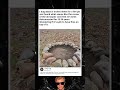 Safe Fire Pit on Septic Concrete?
