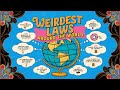 Weird Laws That Actually Exist