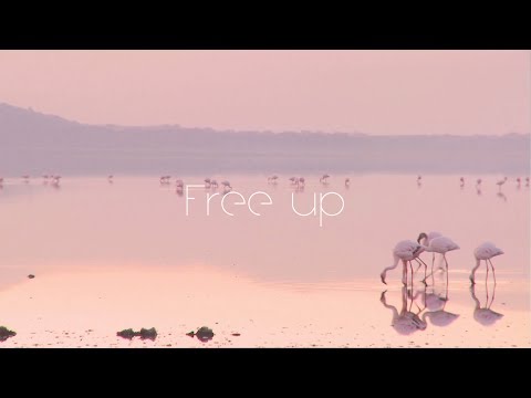 Yap!!! "Free up” (Music Video)