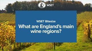 WSET Bitesize - What are England's main wine regions