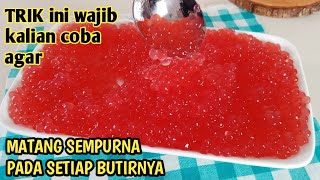 DENGAN TRIK INI SAGU MUTIARA BISA MATANG SEMPURNA, COBAIN YUK