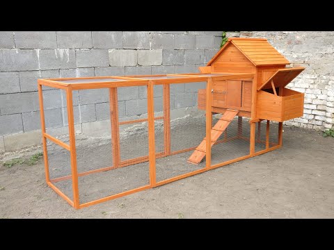 Videó: Hogyan lehet a csirkéket a hátsó udvarban