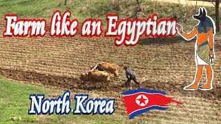 👨‍🌾 Ancient Farming in North Korea 🚀