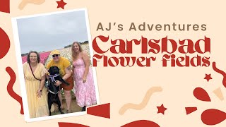 Autistic Adventure: Carlsbad Flower Fields
