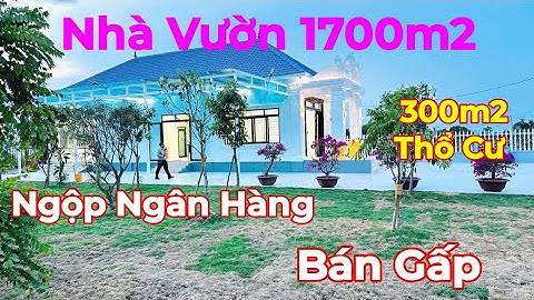 🏡Bán Căn Nhà Vườn Ngộp Ngân Hàng 1700m2 - 300m2 Thổ Cư - Cây Ăn Trái - Ao Cá - Chồi Mát - Đường Ôtô