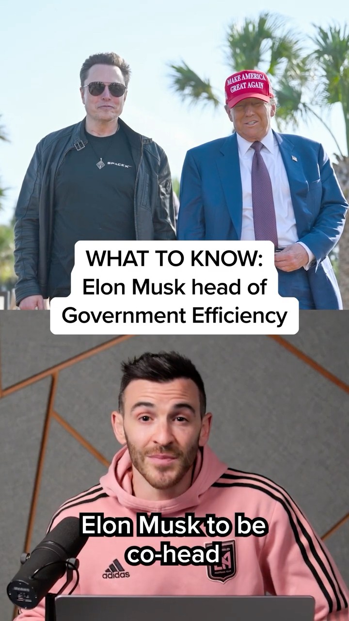 WHAT TO KNOW ABOUT DOGE: Elon Musk head of government efficiency