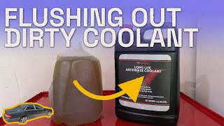Player Profile Putting the PROPER COOLANT in my ES300