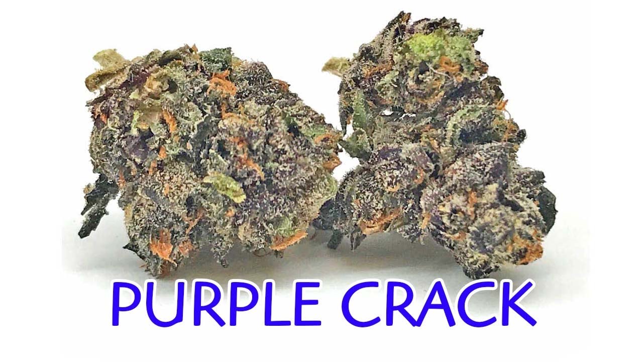 Purple Crack