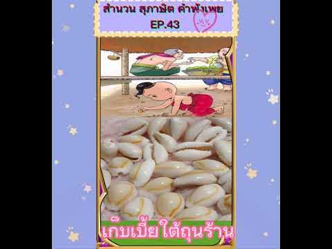 เก็บเบี้ยใต้ถุนร้าน/สำนวนไทย#สุภาษิตไทย #Shorts - Youtube