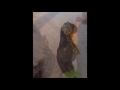 حيه بيه القطرية